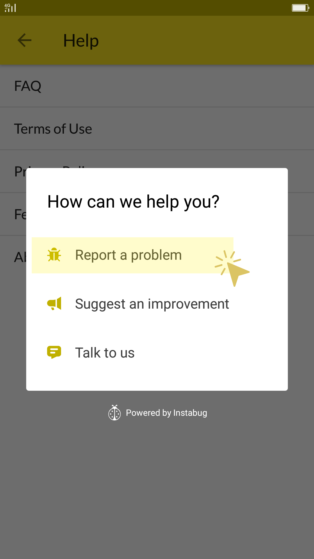 3._Report_an_issue.png